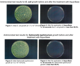 Sanitising Sponge Spray