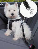 Pet Seat Belt Lead - Black