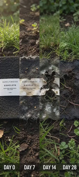 Swedish Dish Cloth - 2 pack
